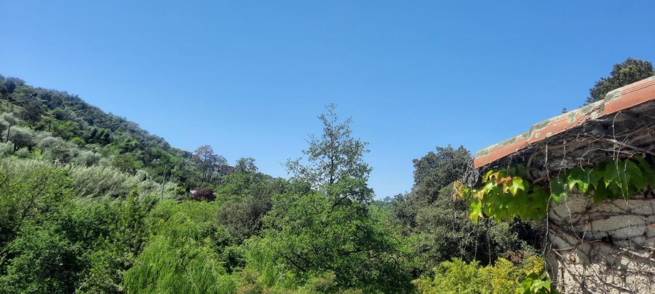Vecchio Mulino Fontona Girasole Daire Chiesanuova  Dış mekan fotoğraf