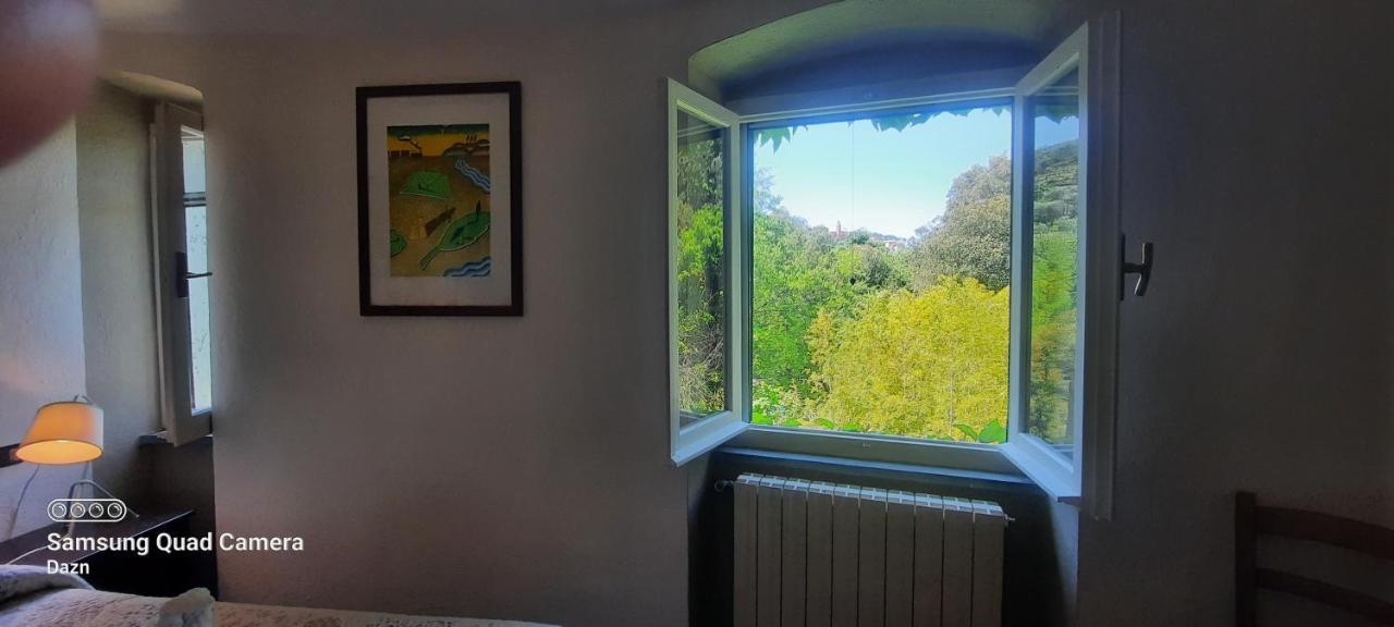 Vecchio Mulino Fontona Girasole Daire Chiesanuova  Dış mekan fotoğraf