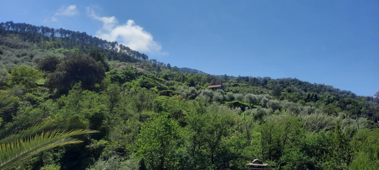 Vecchio Mulino Fontona Girasole Daire Chiesanuova  Dış mekan fotoğraf