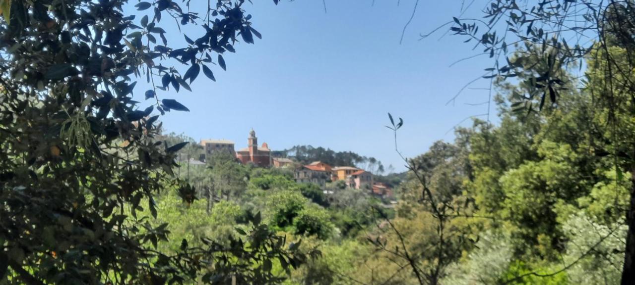 Vecchio Mulino Fontona Girasole Daire Chiesanuova  Dış mekan fotoğraf